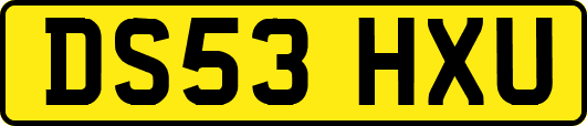 DS53HXU