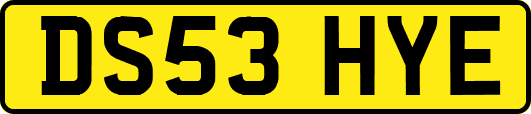 DS53HYE