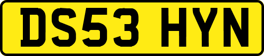 DS53HYN