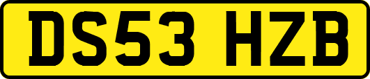 DS53HZB