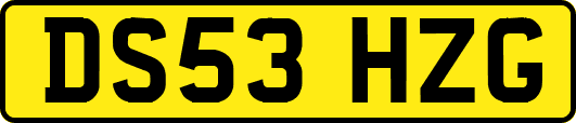 DS53HZG