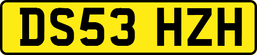 DS53HZH