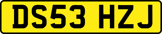 DS53HZJ