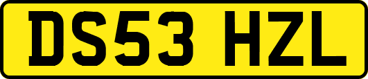 DS53HZL