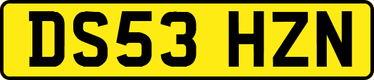 DS53HZN