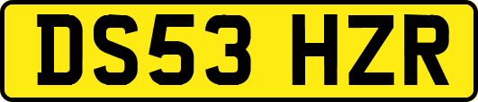 DS53HZR