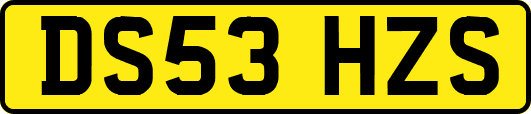 DS53HZS