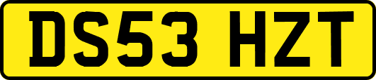 DS53HZT