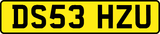 DS53HZU