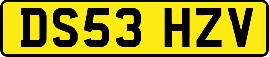 DS53HZV