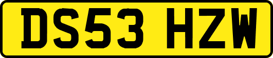 DS53HZW