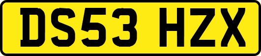 DS53HZX