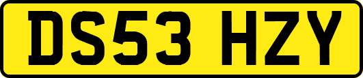DS53HZY