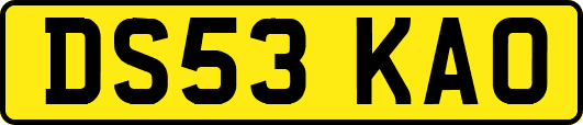 DS53KAO