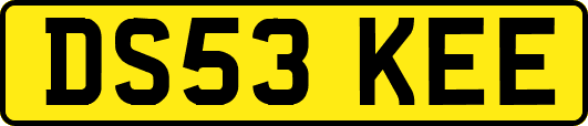 DS53KEE