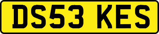 DS53KES