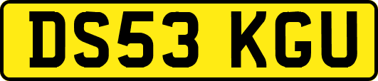 DS53KGU