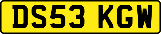 DS53KGW