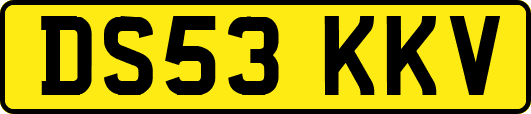 DS53KKV