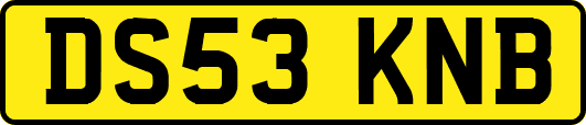 DS53KNB