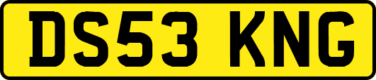 DS53KNG