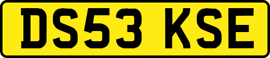DS53KSE