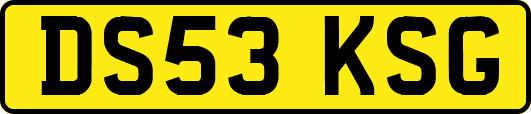 DS53KSG