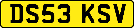 DS53KSV