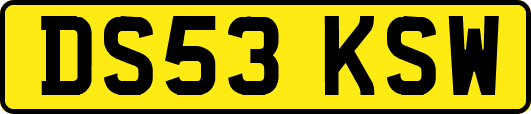 DS53KSW