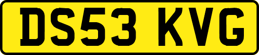 DS53KVG