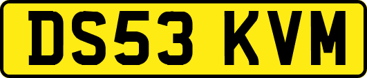 DS53KVM