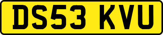 DS53KVU