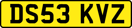 DS53KVZ