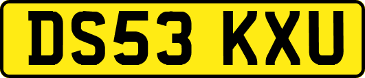 DS53KXU