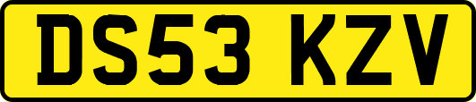 DS53KZV