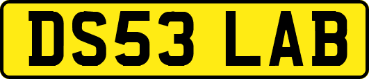 DS53LAB