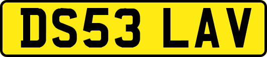 DS53LAV