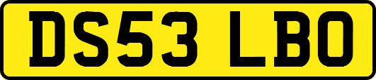 DS53LBO