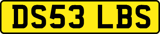 DS53LBS