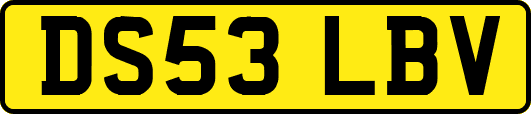 DS53LBV