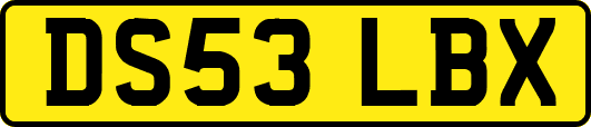 DS53LBX