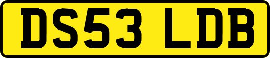 DS53LDB