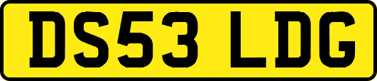 DS53LDG