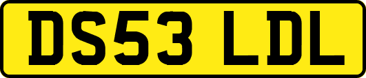 DS53LDL