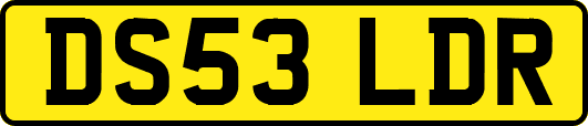 DS53LDR