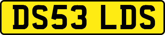 DS53LDS