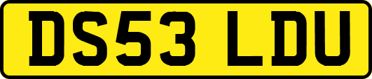 DS53LDU