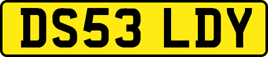 DS53LDY