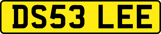 DS53LEE