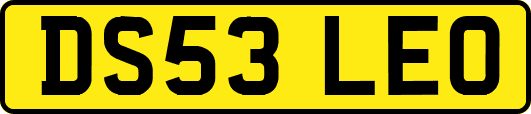 DS53LEO